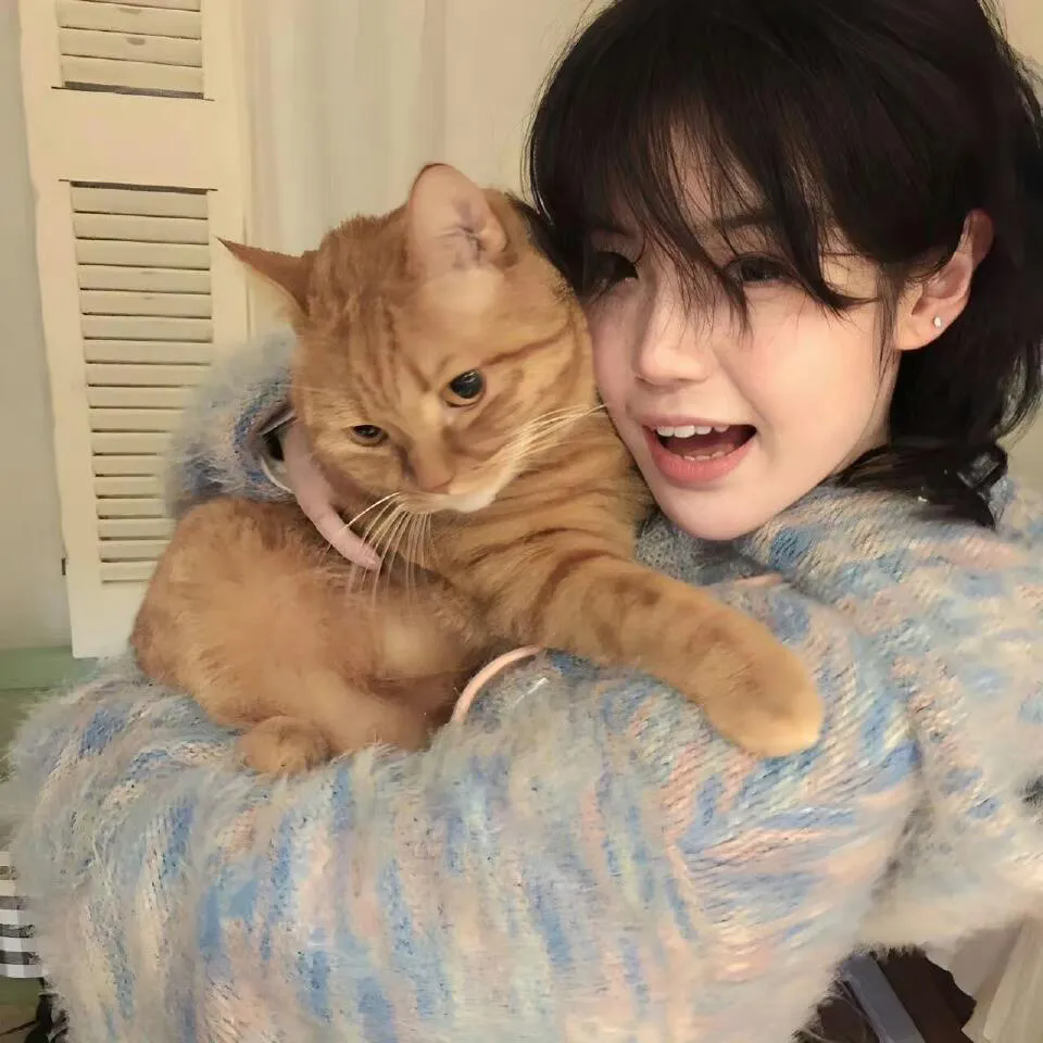 霍少的替身娇妻